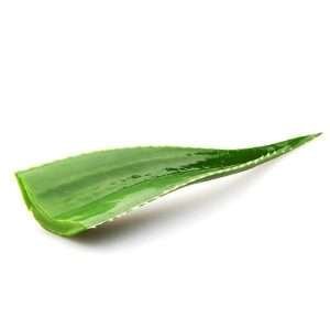Fresh Alovera Leaf 1pc