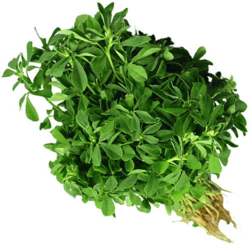 Methi leaves bundle (Small) (Only Local Delivery in Summer)