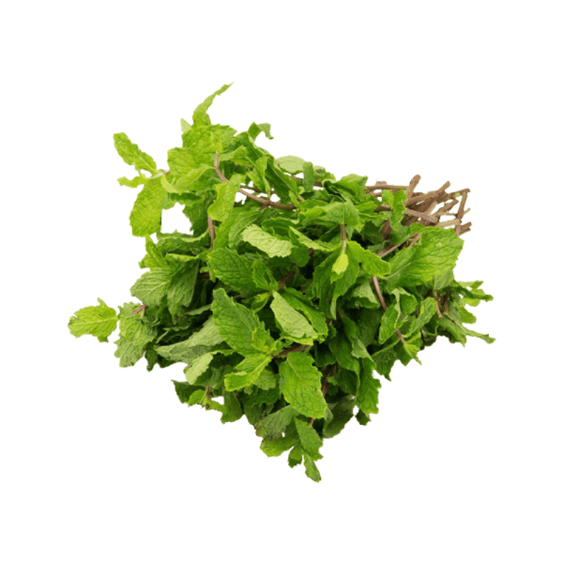 Mint Leaves Bundle