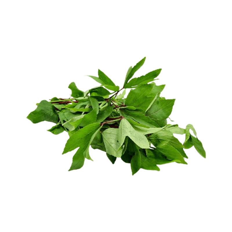 Gongura-Bund Rot (~200g) (Nur lokale Lieferung im Sommer)