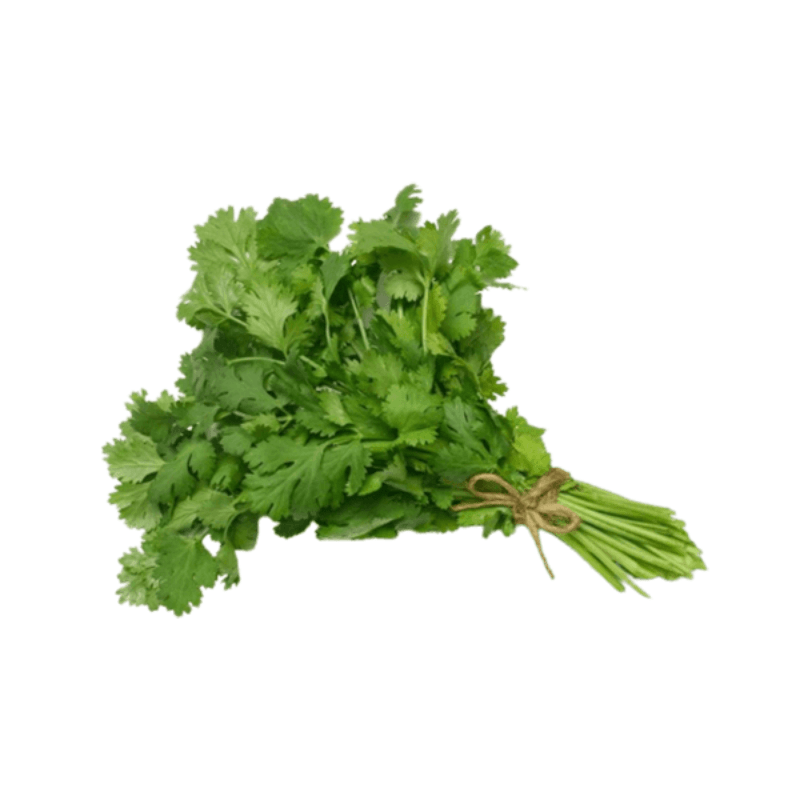 Coriander Leaves Bundle