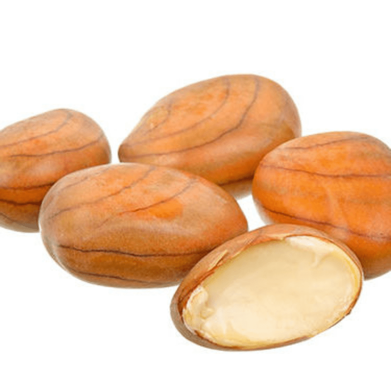 Jack Fruit Seed 250g