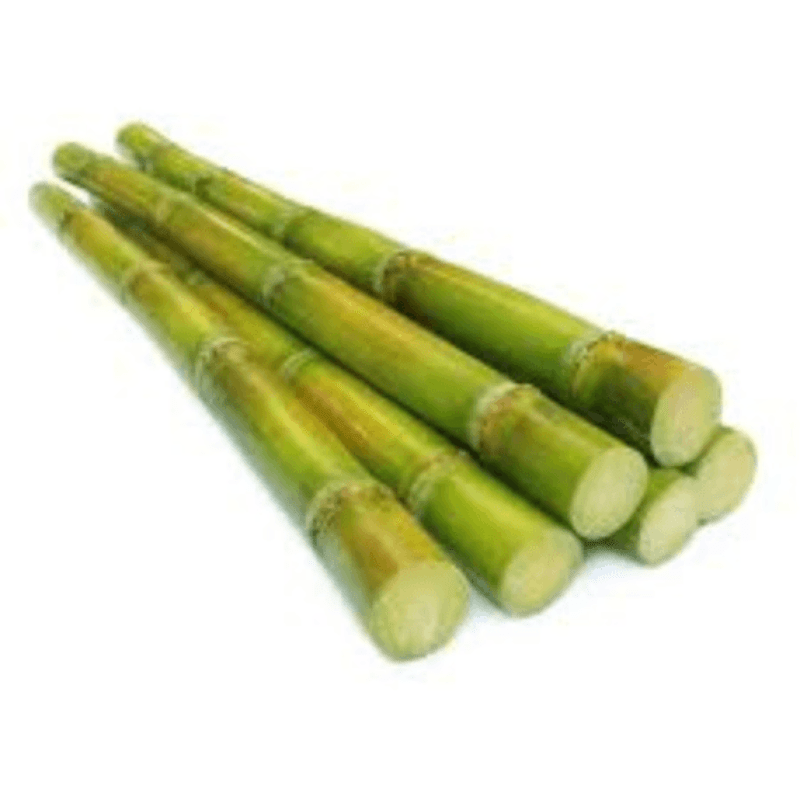 Zuckerrohr 1kg