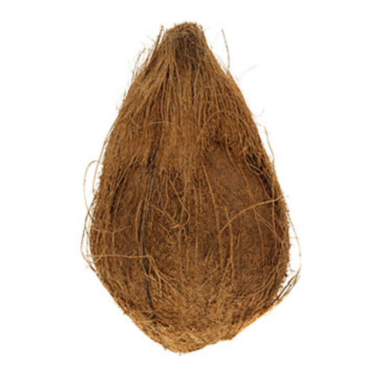 Pooja Coconut Grade A1