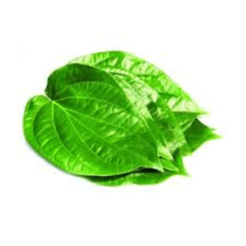 Fresh Betel Leaf 5 piece