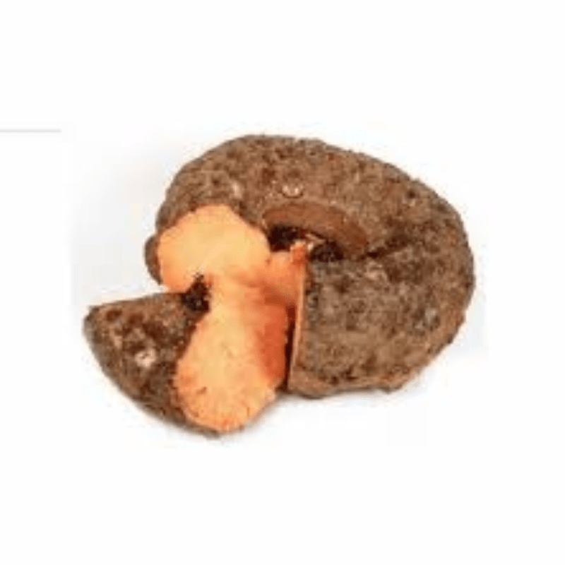 Elefantenfuß (Suran) 500g