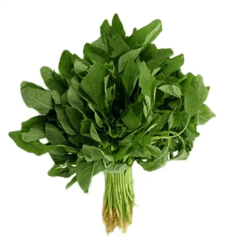 Amaranthus/Thotakura Bundle (Green) ~400g