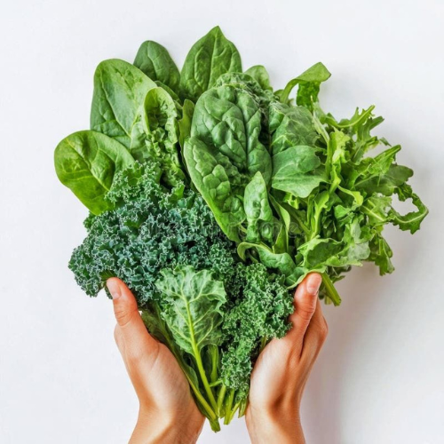 🌿 Fresh Indian Greens in Germany – Handpicked for Authentic Flavours | Indira Indian Foods
