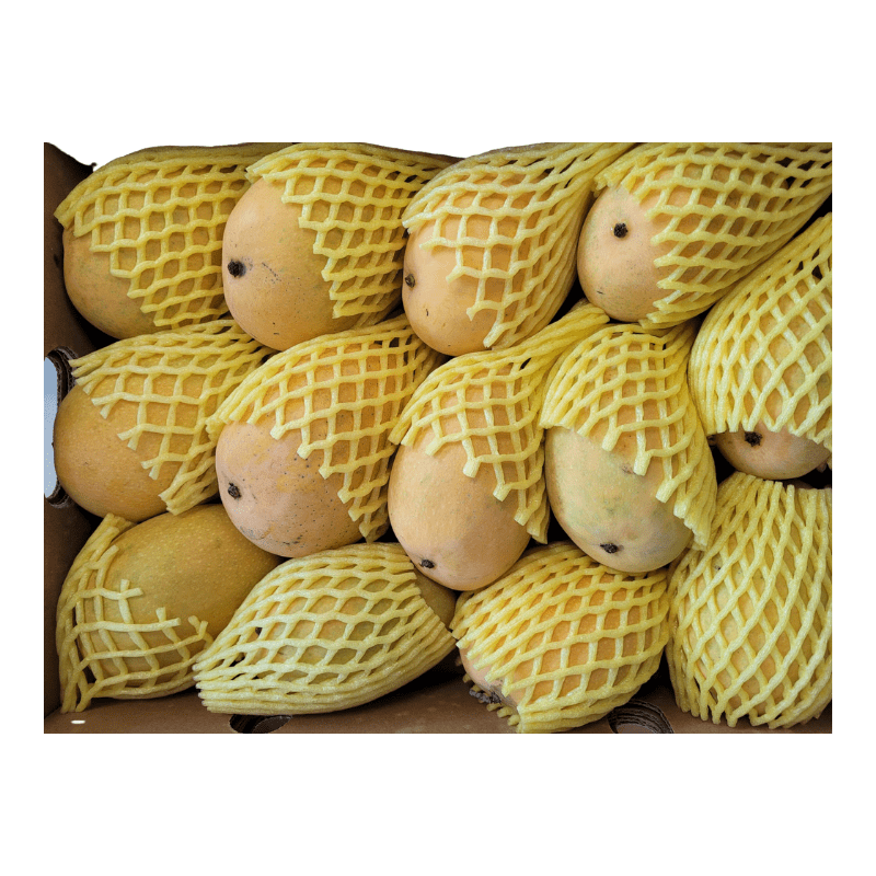 Indian Banganapalli Mango (Andhra Regional)  Box (~3.6kg)
