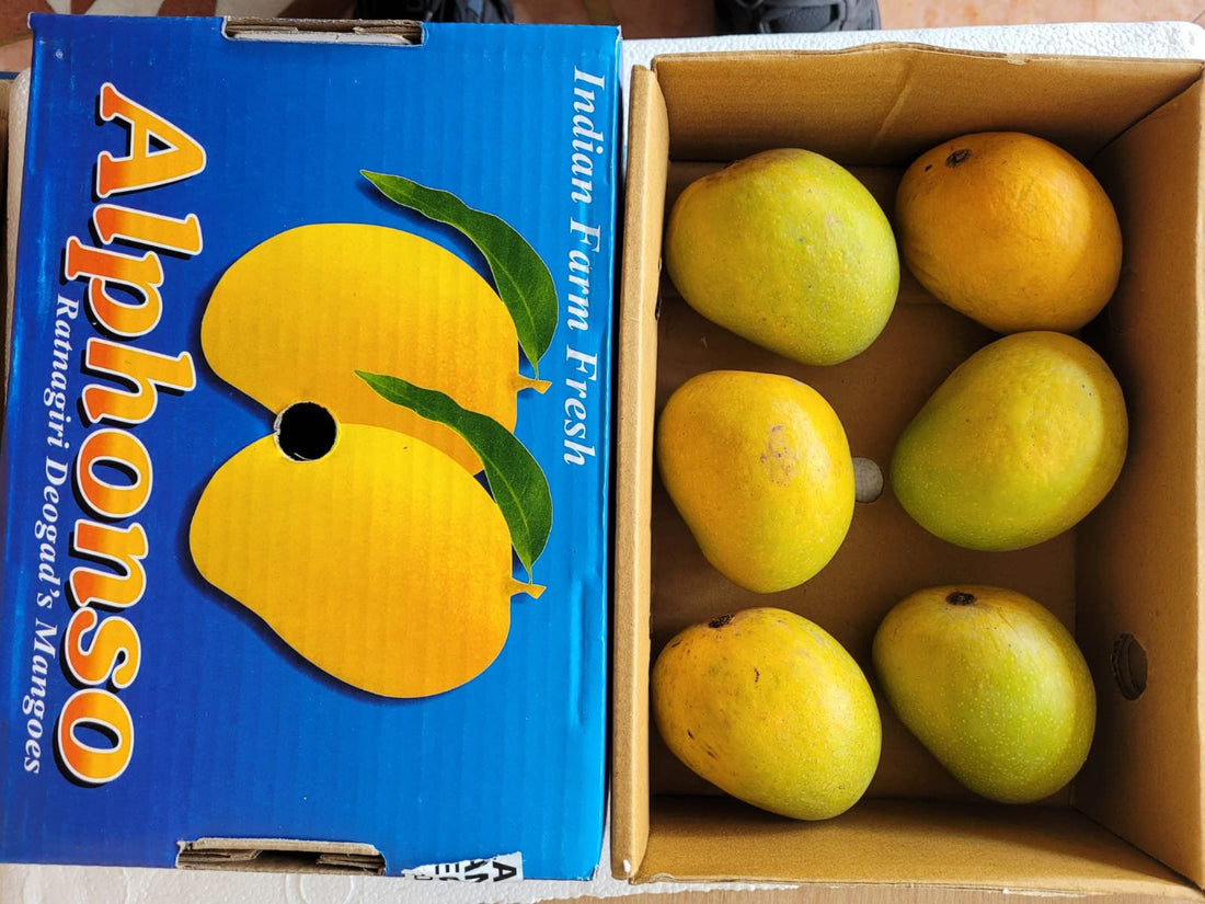 Devgad Alphonso Mango 1pc