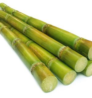 Sugar Cane  ~500g