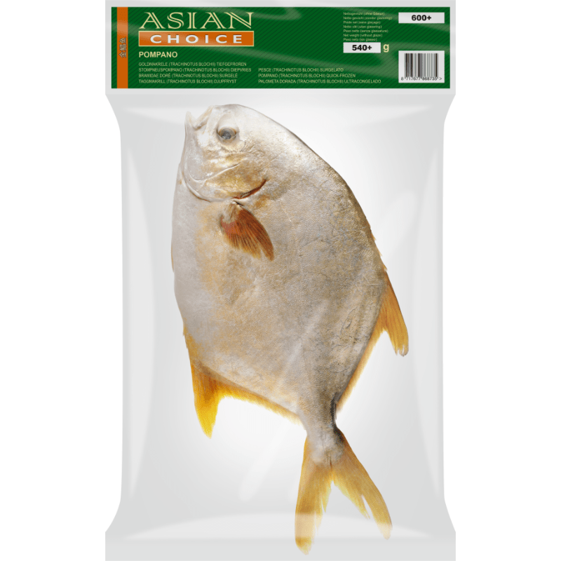 Golden Pomfret (Frozen) 600g+