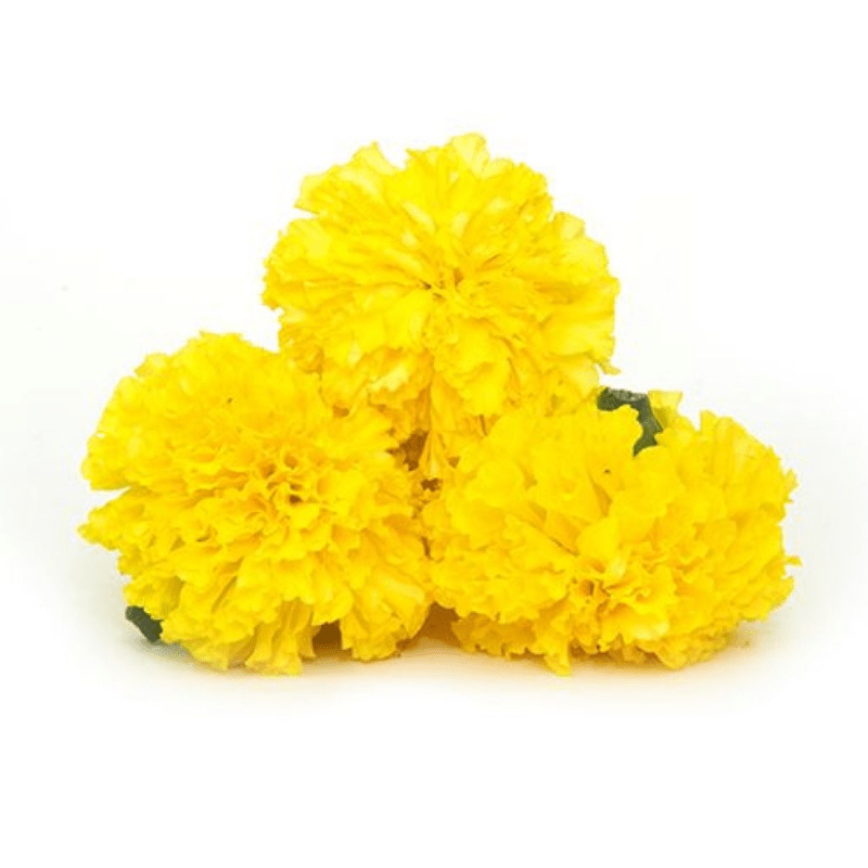 Frische Ringelblumen (Orange) 250g