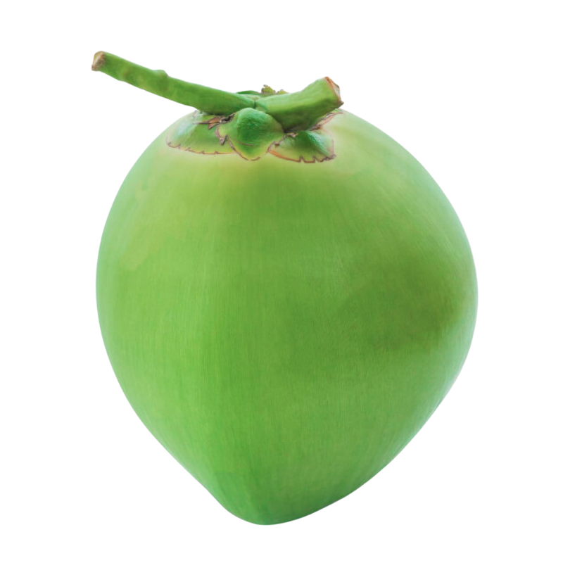 Green Coconut Fresh 1PC
