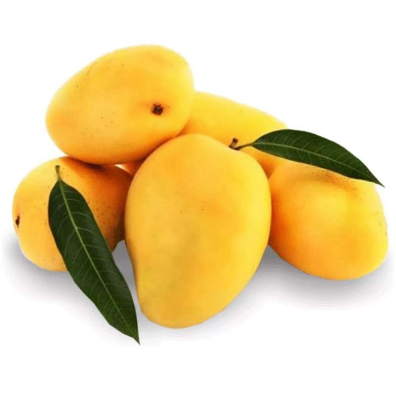 Gujarat Kesar Mango 1pc (~200g)