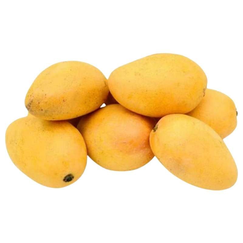 Banganapalli/Badam Mango 1pc (~250g)