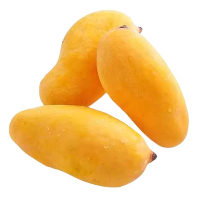 Sindhri Honig-Mango Karton ~4kg