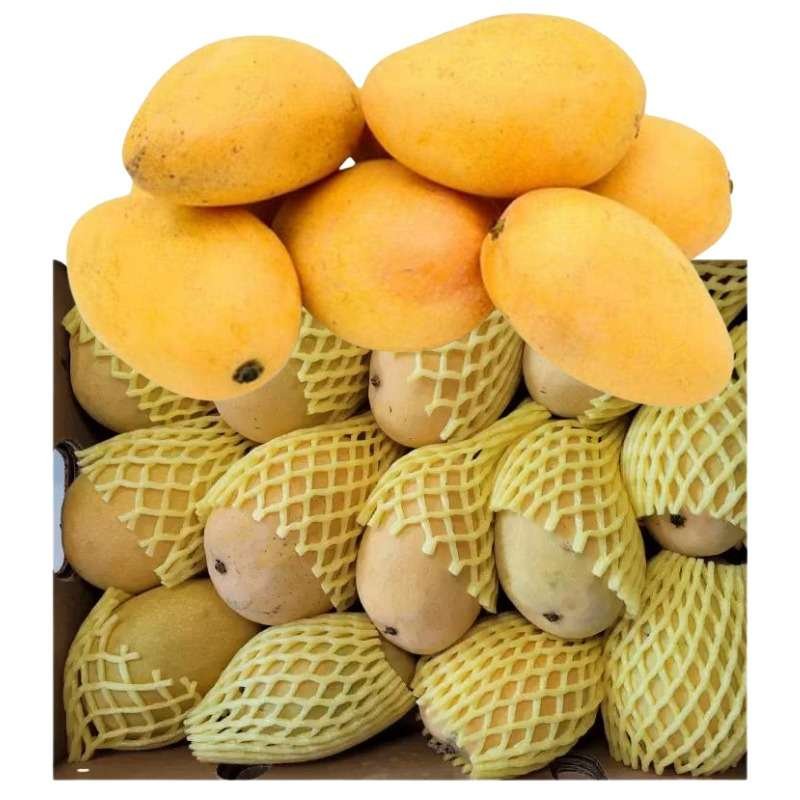 Indian Badam/Banganapalli Mango  Box (1.4kg to 1.6kg)