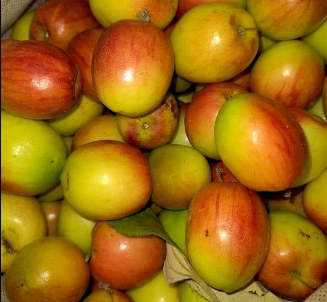 Apple Bore/Jujube 500g (Medium Size)