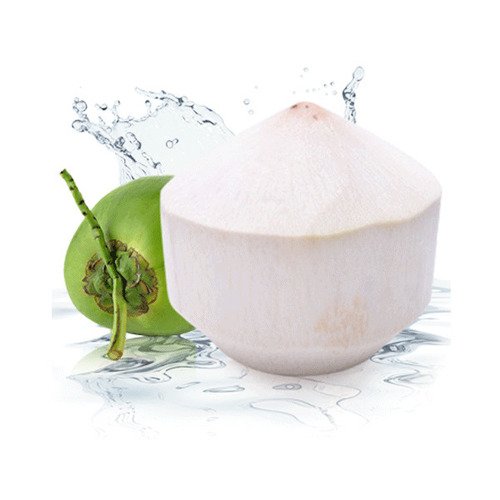 Fresh Young Tender Coconut